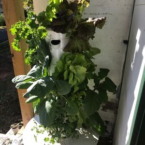 Meet your Posher, Meagan